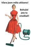 Ikonka uživatele ještěřička