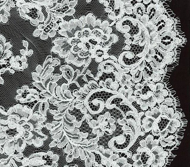 zdroj: http://bandjfabrics.com/fabric/alenç-lace-77