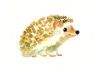 Ikonka uživatele little.hedgehog