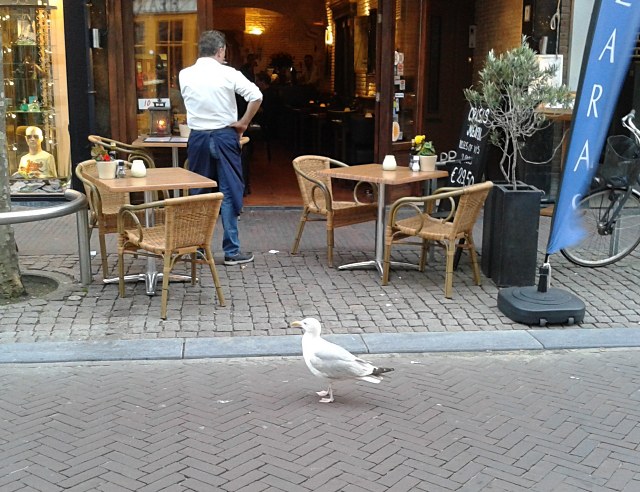 amsterdam8
